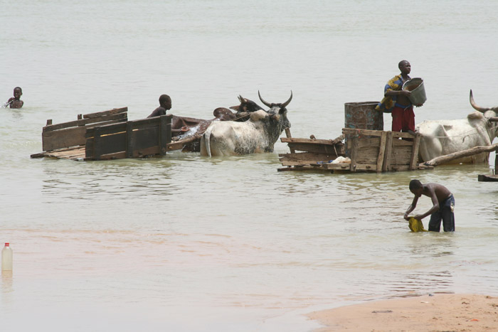 200604_Benin_069