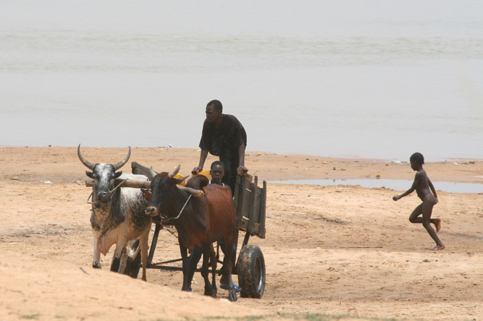 200604_Benin_070