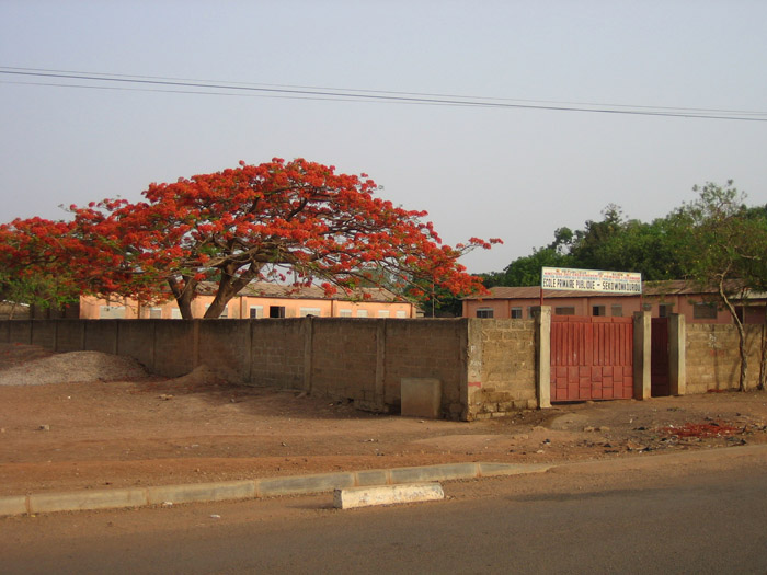 200604_Benin_084