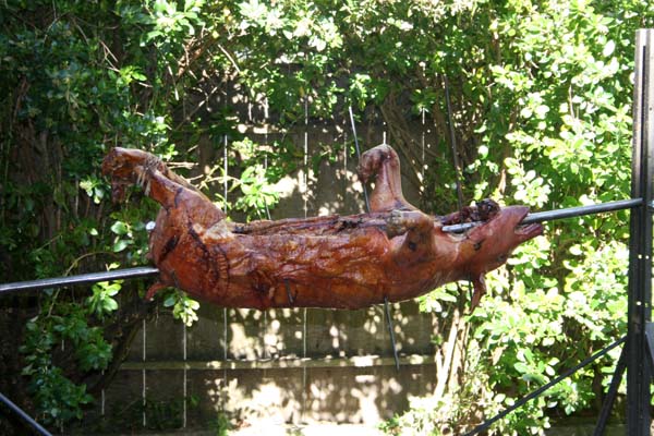 20070704_135