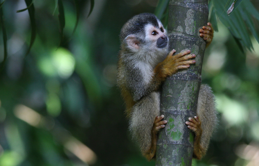 201003_Costa_Rica__51