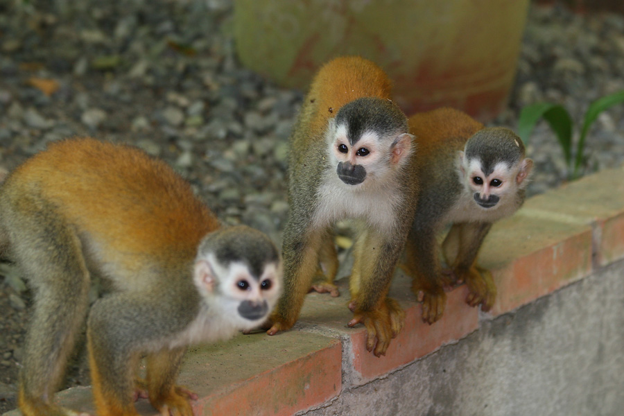 201003_Costa_Rica__54