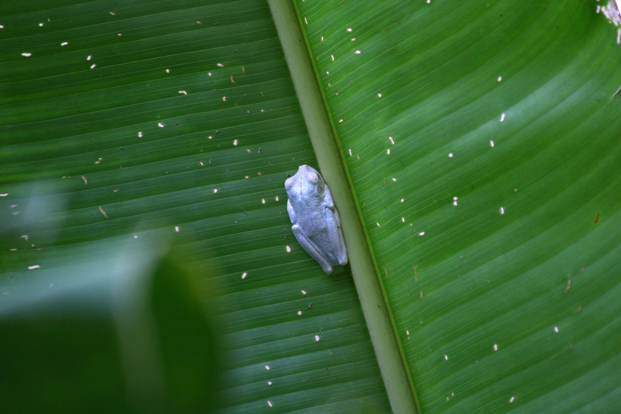 201003_Costa_Rica__74